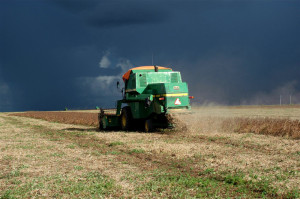 Segundo a Conab, a área total destinada ao plantio de grãos deve chegar a 56,9 milhões de hectares, com uma alta de 6,2% se comparado à área de 53,6 milhões de hectares da última safra (Foto: Marcos Vergueiro/ Secom MT)