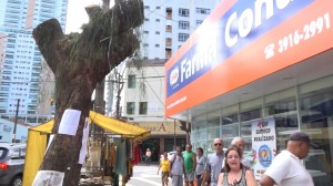 A retirada do Ingazeiro, na Rua Oswaldo Cruz, no Boqueirão, foi motivo de revolta de moradores na última semana