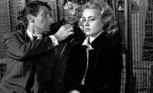 ascensorparaocadafalso