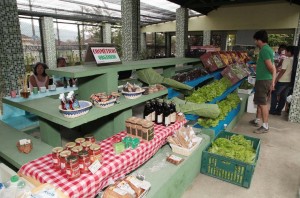 feira de orgânicos