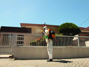 Dengue, Marapé - Santos