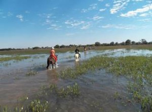 Passeio opcional pelo Pantanal em época de cheia pode ser uma experiência e tanto para os turistas. Divulgação