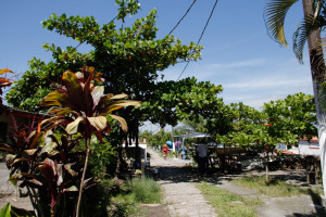 Ilha possui 205 moradores. Foto: Nara Assunção