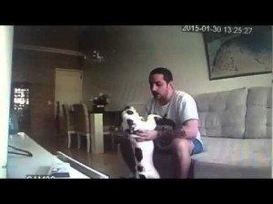 Rafael Hermida - agressor cães