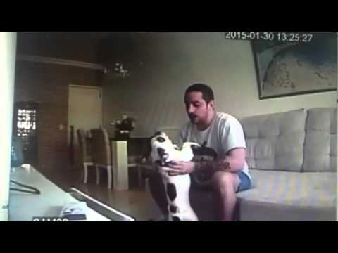 Em rede social, agressor de cães diz que ama animais