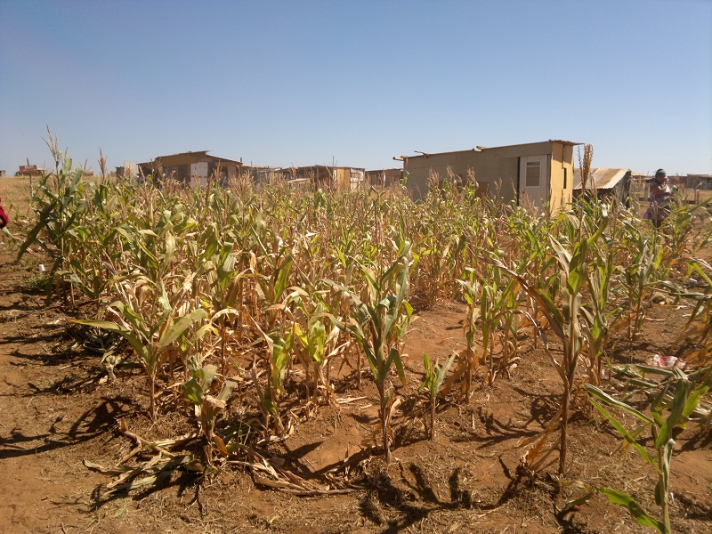 Governo planeja assentar 120 mil famílias nos próximos quatro anos