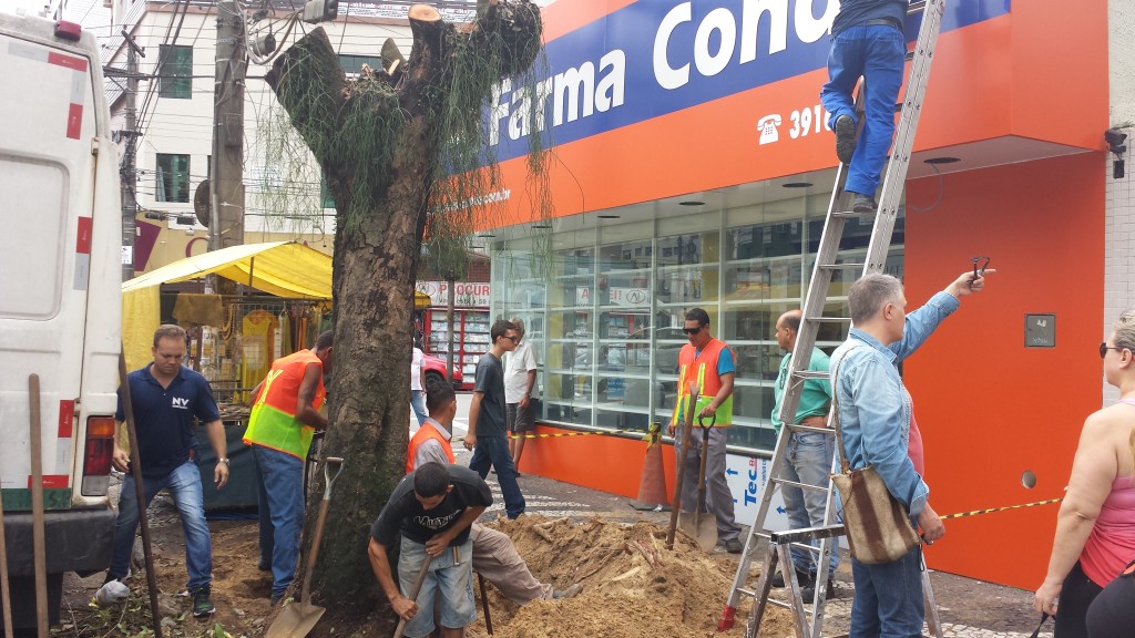 Munícipes protestam contra retirada de árvore na Rua Oswaldo Cruz
