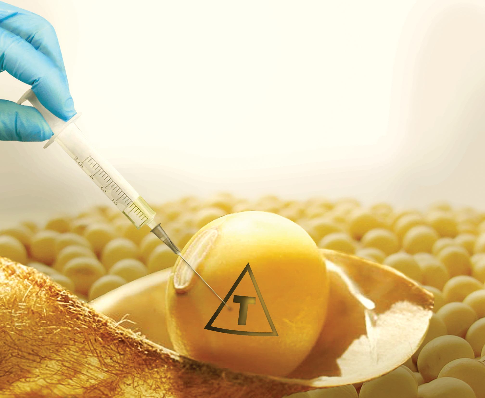 Segurança de alimentos transgênicos não é unanimidade | Boqnews