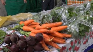 Feira de Orgânicos em Santos