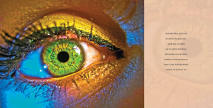 Exposição Poesia Fotografada, primeiro livro de imagens do fotógrafo e poeta Flavio Meyer. Uma seleção de 45 fotografias e 45 poesias com temas diversos.  A poesia da foto ao lado: "Só posso olhar para você de dentro de quem sou. Ainda sou eu aquilo que no outro reconheço. Harmonias ou contrastes também a mim pertencem. Amor exige individualidade embora nós sejamos um" A exposição acontece no Centro de Cultura Patrícia Galvão (Avenida Pinheiro Machado, 48 térreo), de segunda a sexta, das 9 às 18 horas. Até 14 de outubro. 