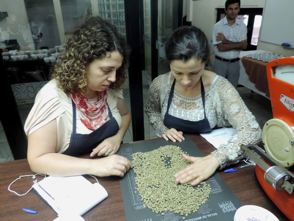 Final do 14º Concurso de Qualidade do Café de SP ocorre nesta quinta-feira (29)