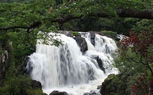 cachoeira-veu-das-noivas-pocos-de-caldas-mg