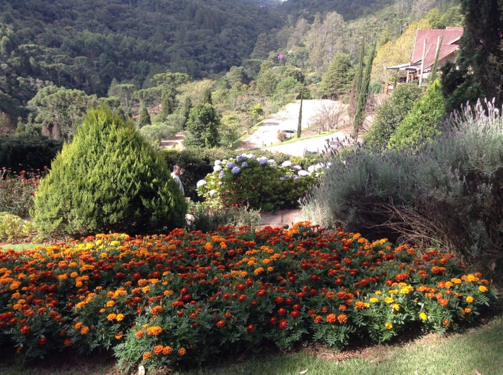 Ecoparque Jardim dos Pinhais, na Serra da Mantiqueira
