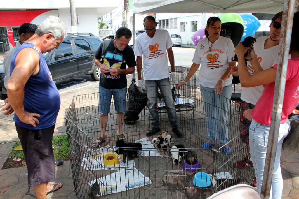 Animais esperam por novo lar na feira de adoção deste sábado (22)