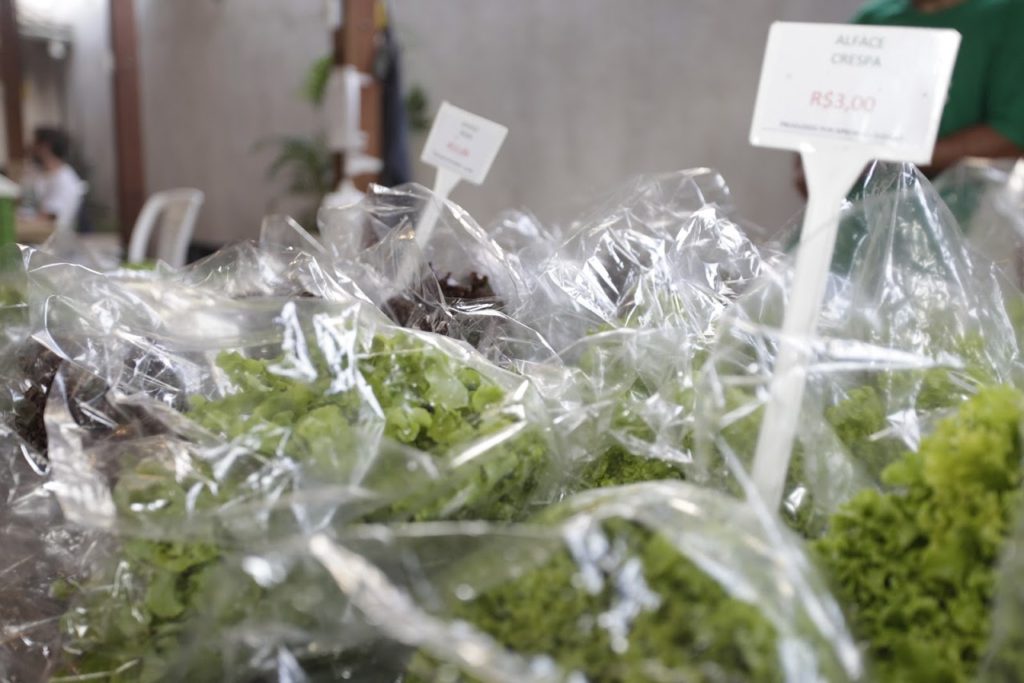 feira de orgânicos alface