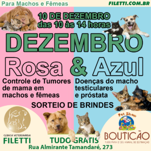 campanha dezembro rosa e azul