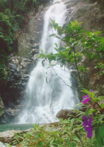 Rio Perequê, conhecido como "a praia de Cubatão".