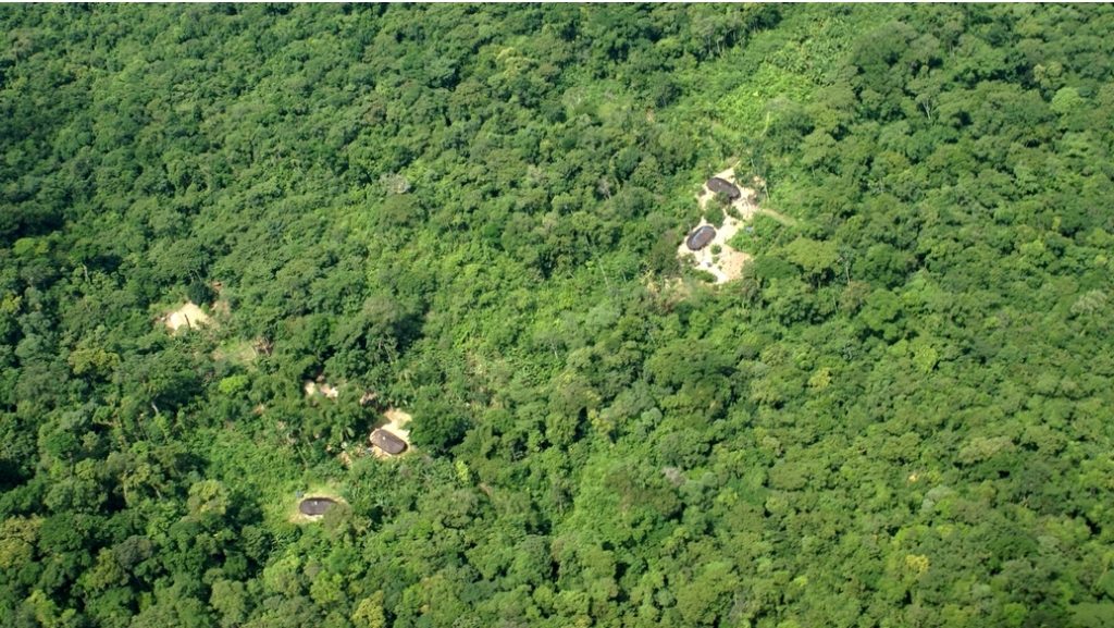 MPF denuncia empresários de Santos por crime ambiental no Litoral Norte