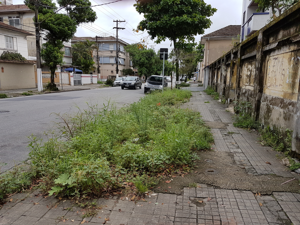 Menos homens nas ruas, capinação em queda e mais mato nas calçadas