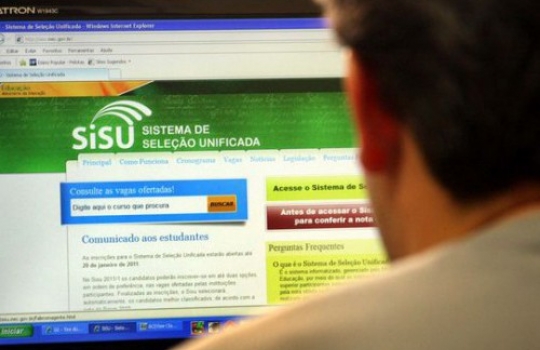 Sisu