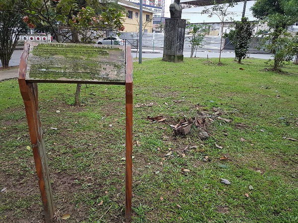 Única no País, Árvore Arte desaparece na Ponta da Praia, em Santos