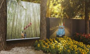 Expoflora- Holambra