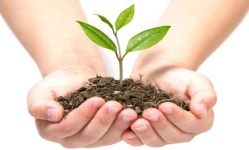 1ª Feira Sustentar