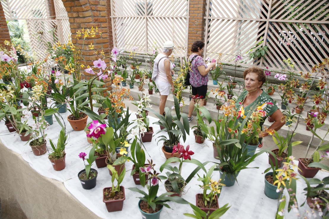 Orquidário