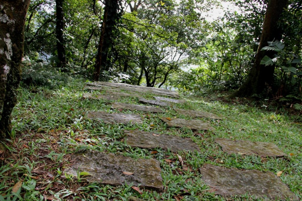 ‘O Reino, a Colônia e o Poder’: uma obra seminal