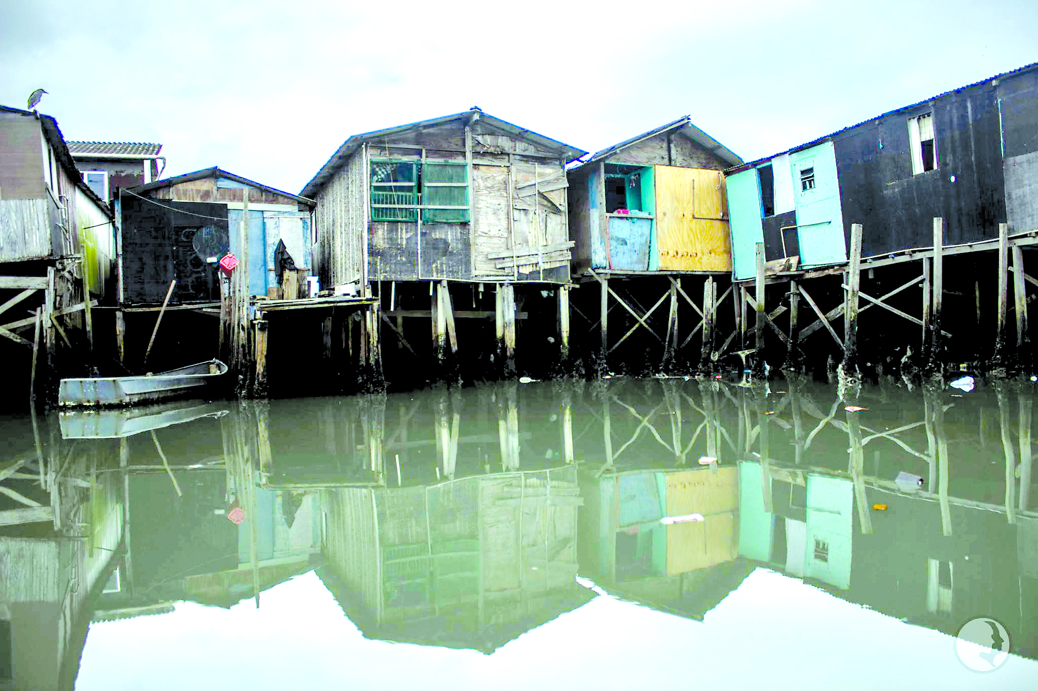 vila gilda Boqnews conteúdo de qualidade e credibilidade