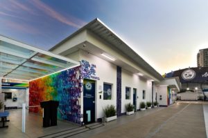 CAMPS Santos celebra 58 anos com pesquisa inédita e novos espaços