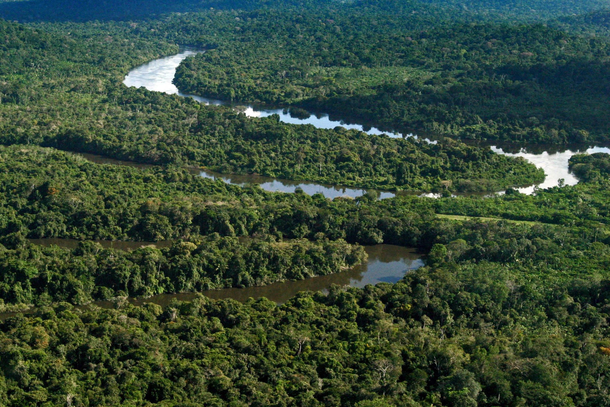 Amazônia