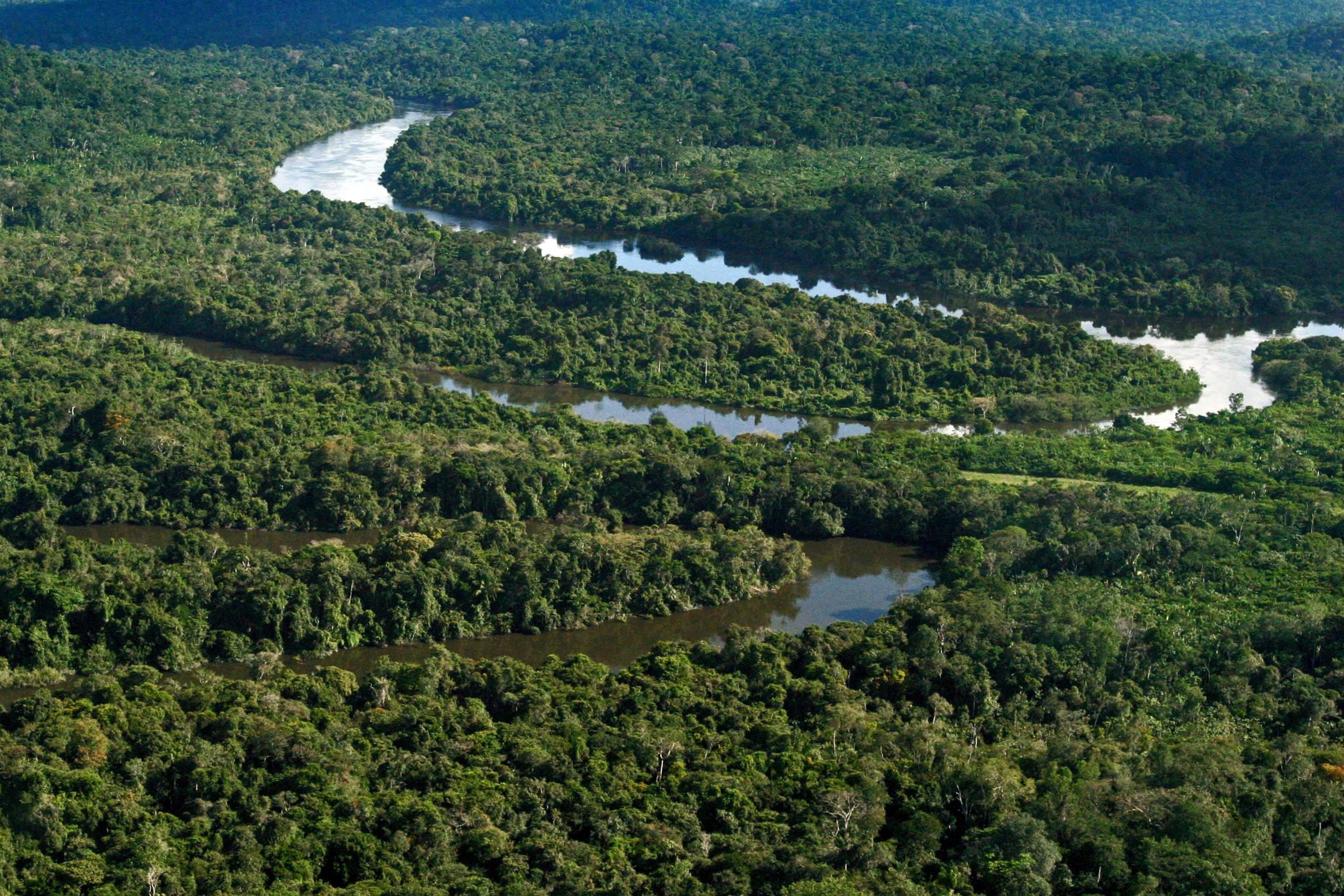 Raiva no brasil ilysam. Амазония Кассель. Амазония Турция. Фонду Амазонии. Амазония фото.