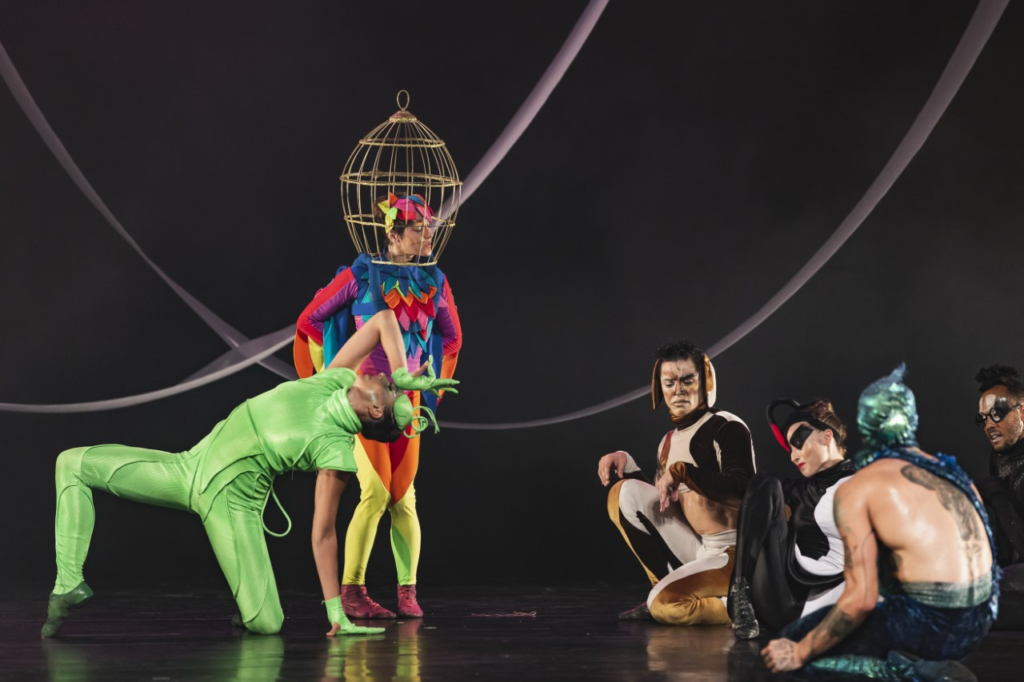 Bichos Dançantes tem única apresentação neste fim de semana em Santos