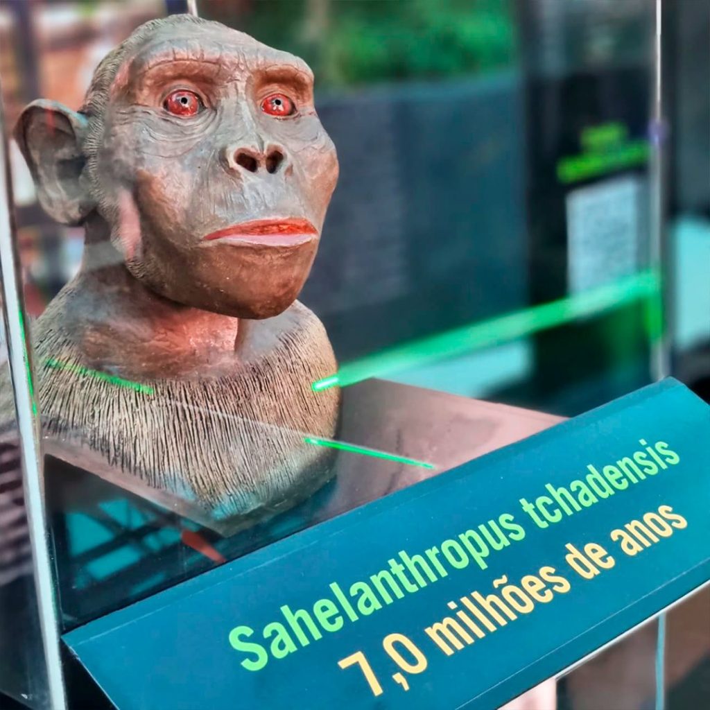 Shopping Parque Balneário recebe Exposição Caminhos da Evolução