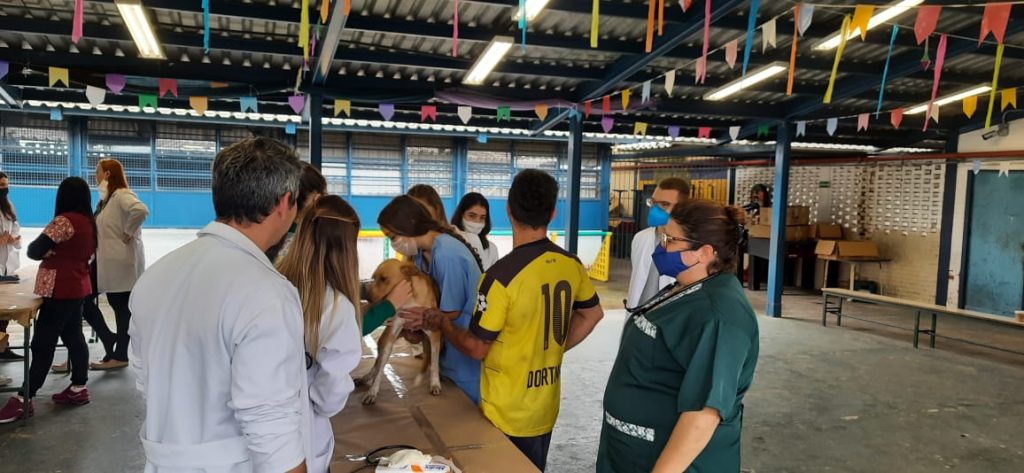56º Mutirão de Assistência Veterinária em Santos