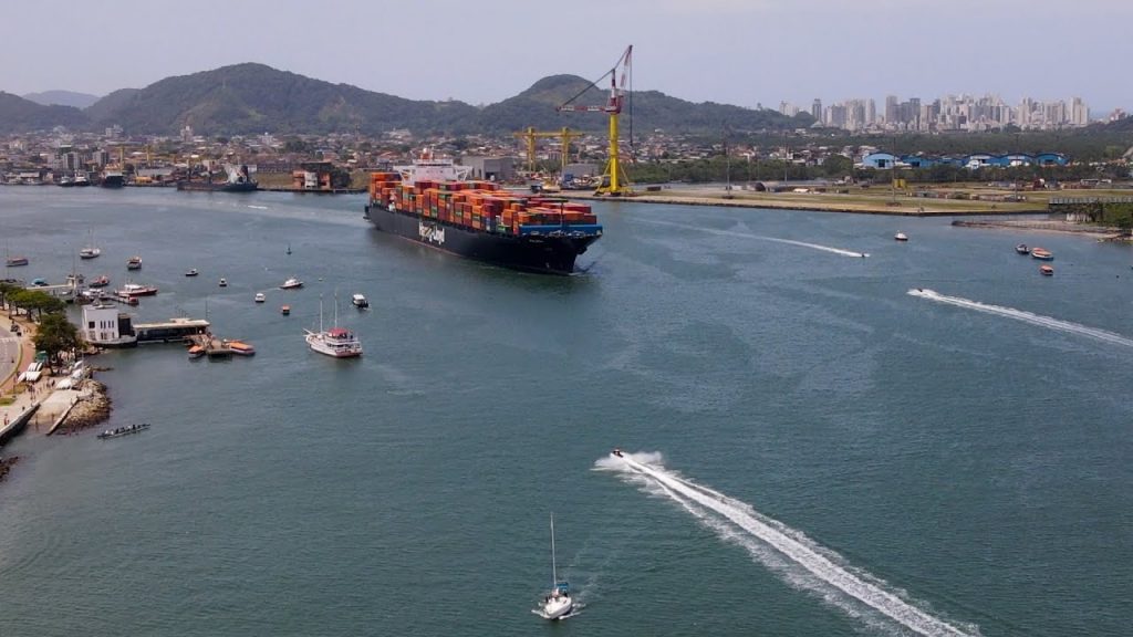 Vídeo mostra contaminação de espécies no estuário de Santos por microplásticos