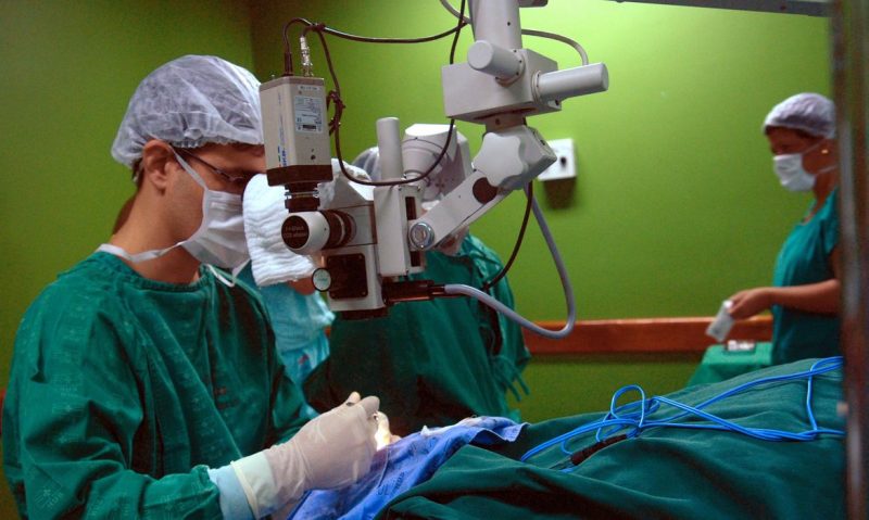 Bladder cancer exceeds 19 thousand deaths in 4 years