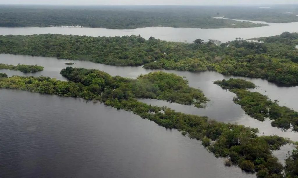 Amazônia corre risco de entrar em colapso em 2050, diz artigo