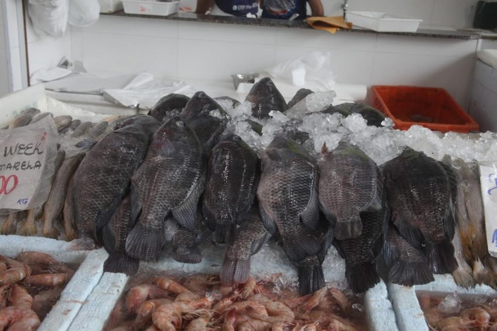 Sexta-feira Santa terá 11 pontos de venda de pescados em Santos
