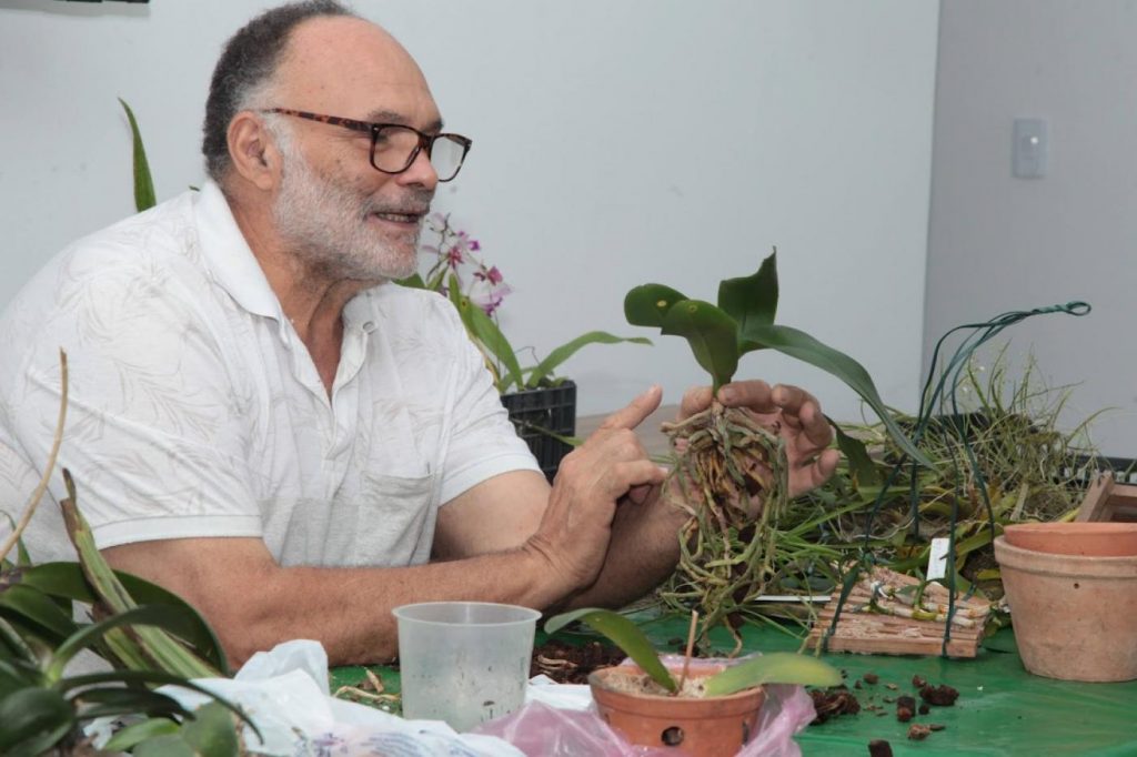 Orquidário de Santos oferece oficina de cultivo de orquídeas neste fim de semana