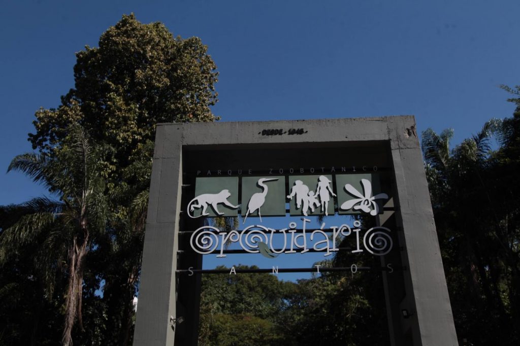 Clube de Observadores de Aves de Santos comemora aniversário no Orquidário