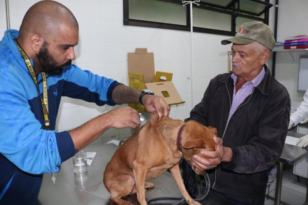 Com ações preventivas, Santos garante controle da Leishmaniose em animais