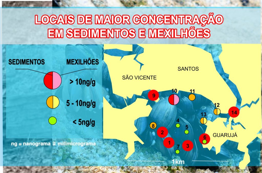 Pesquisa revela presença de cocaína no estuário de Santos
