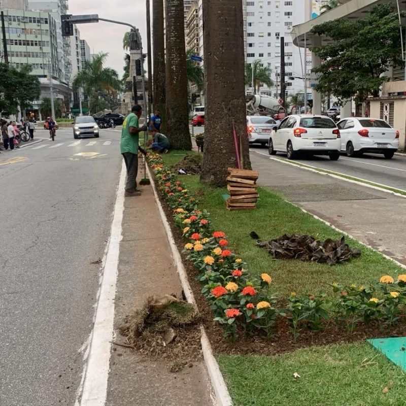 Novas 3,7 mil flores iniciam renovação do paisagismo em Santos