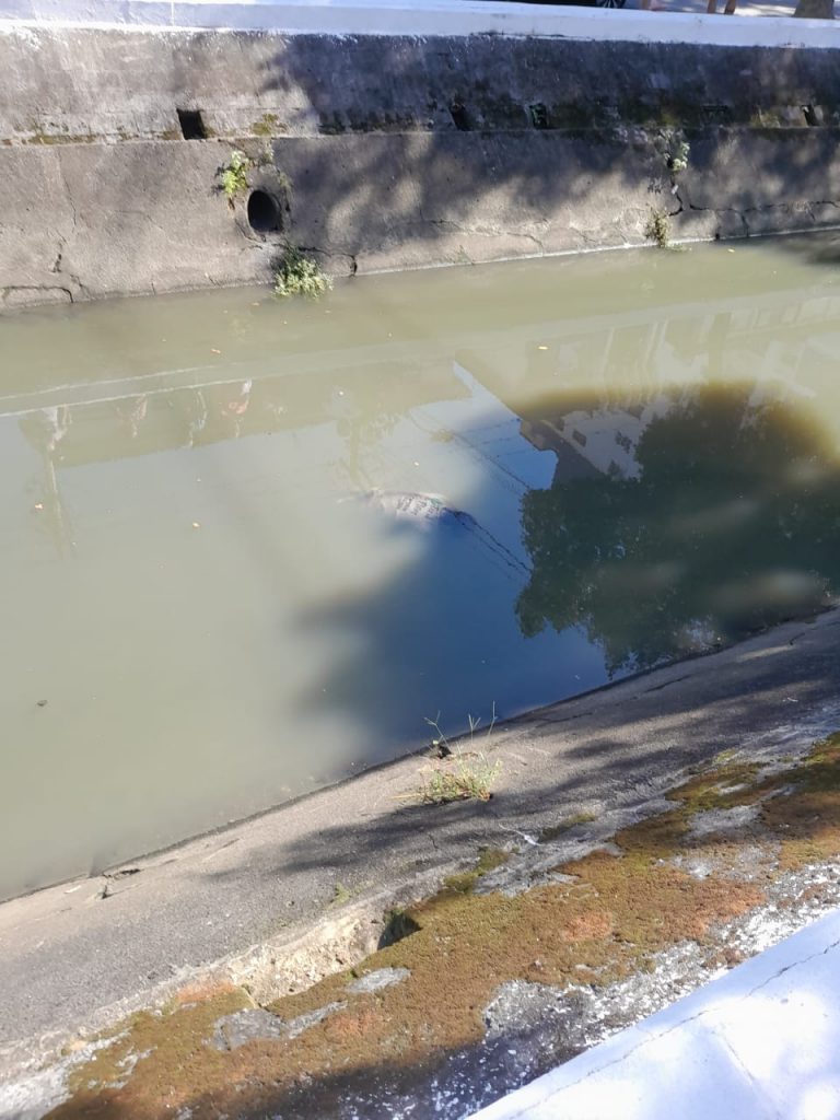 Corpo de homem é resgatado no canal da Avenida Bernardino de Campos