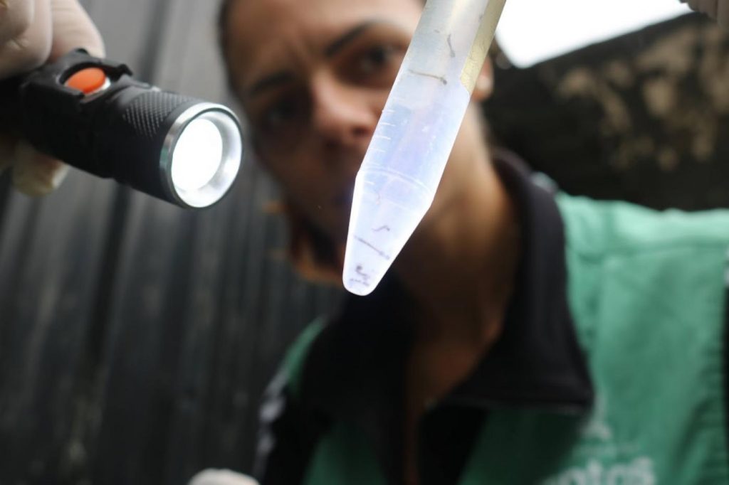 Mutirão contra dengue visita mais de 1,2 mil imóveis na Vila Mathias