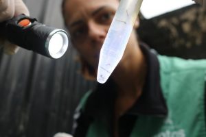 Mutirão contra dengue visita mais de 1,2 mil imóveis na Vila Mathias