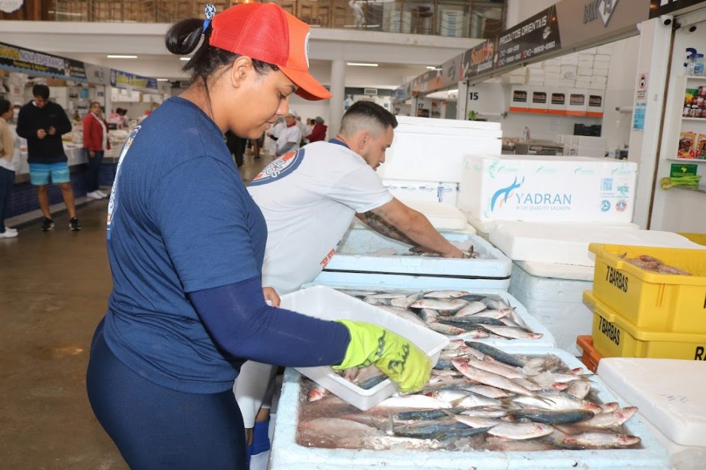 Mercado de Peixes de Santos terá festival com tainha a partir de R$ 12,99/kg