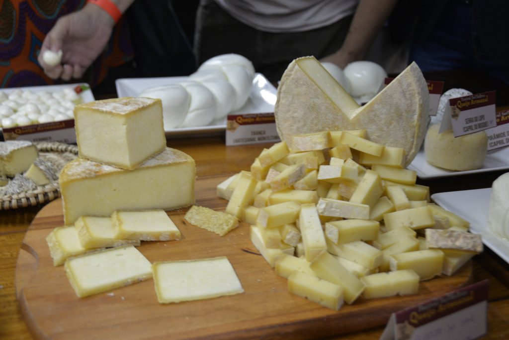 Com apoio da Fapesp, grupo identifica novos probióticos em queijos tradicionais